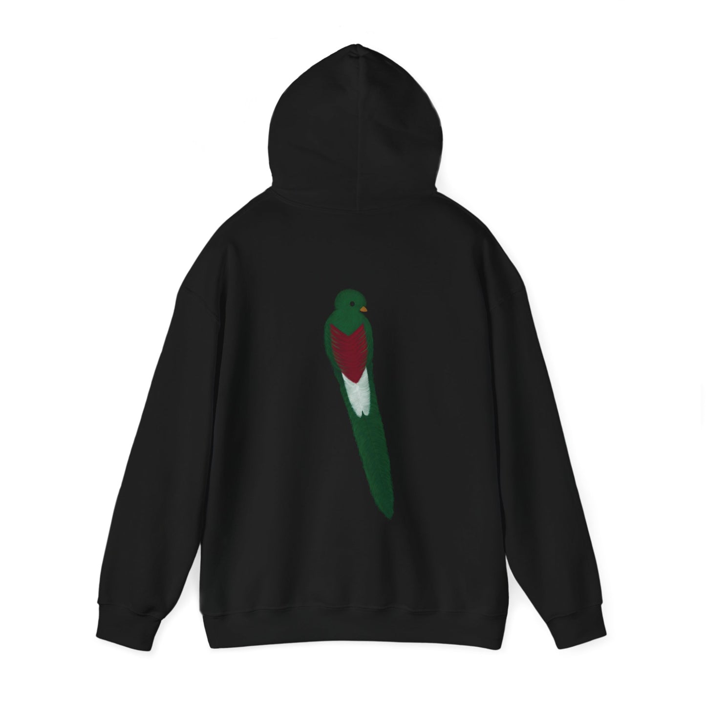 PaliZal Graphic Hoodie