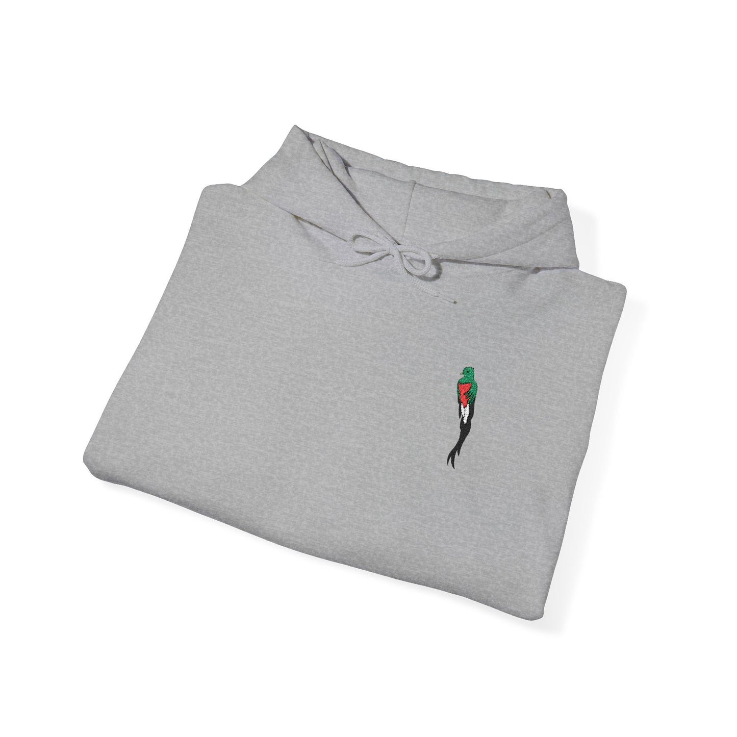 QuetZal Embroidery Hoodie