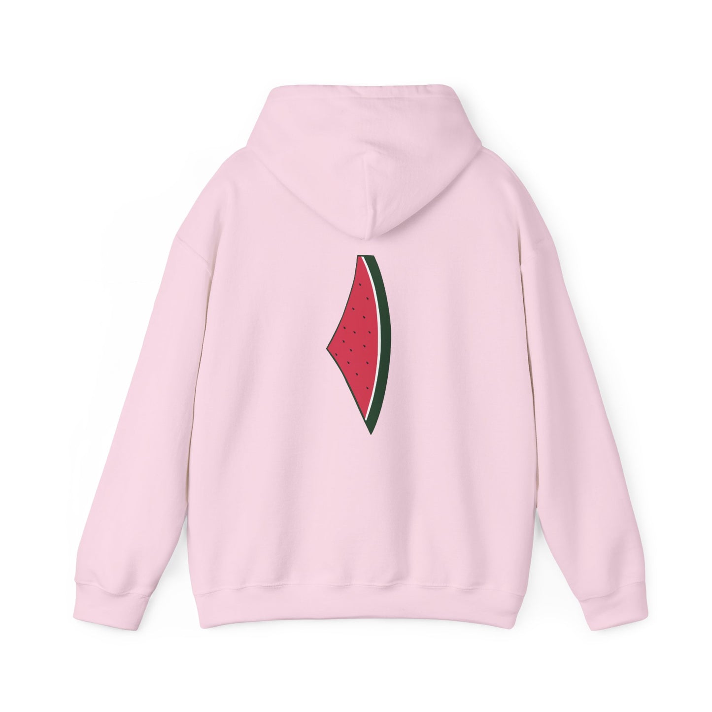 Sandia Graphic Hoodie