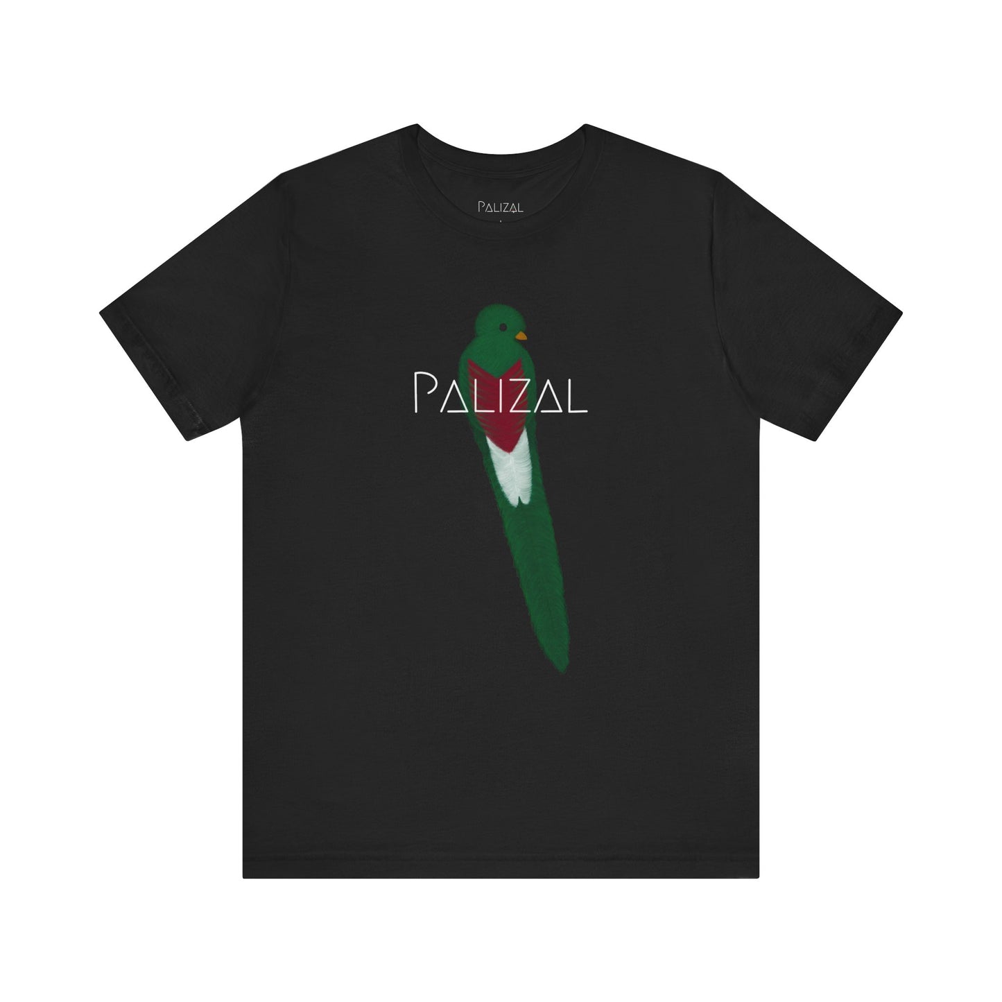 CAMISETA GRÁFICA PALIZAL