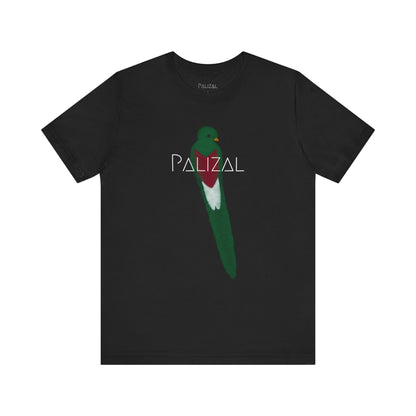 CAMISETA GRÁFICA PALIZAL